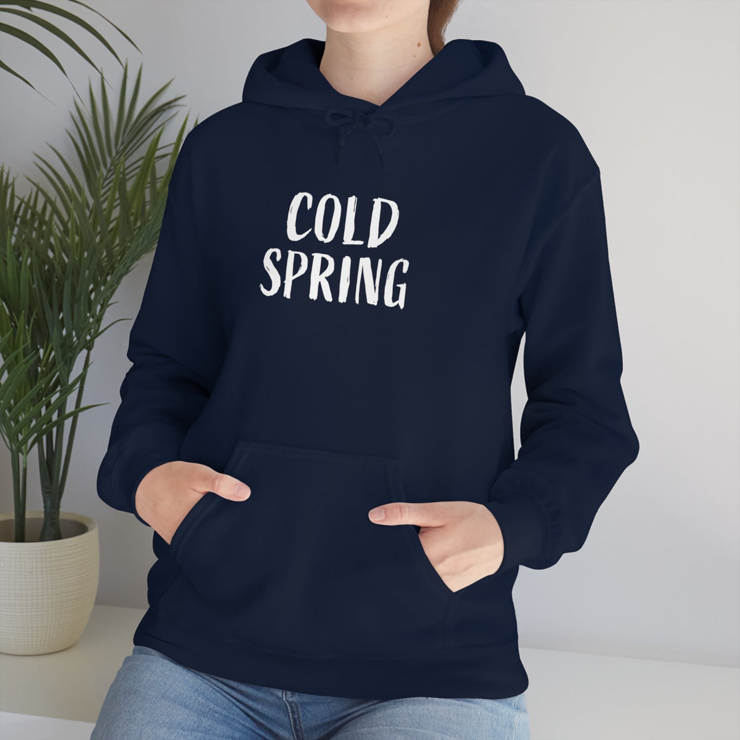 Cold Spring Navy Hoodie