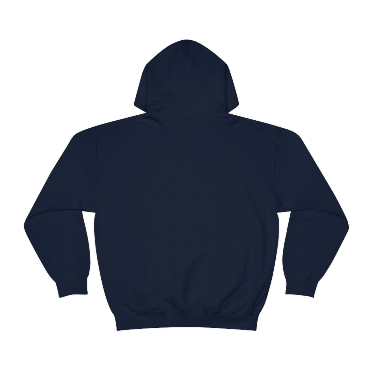 Cold Spring Navy Hoodie