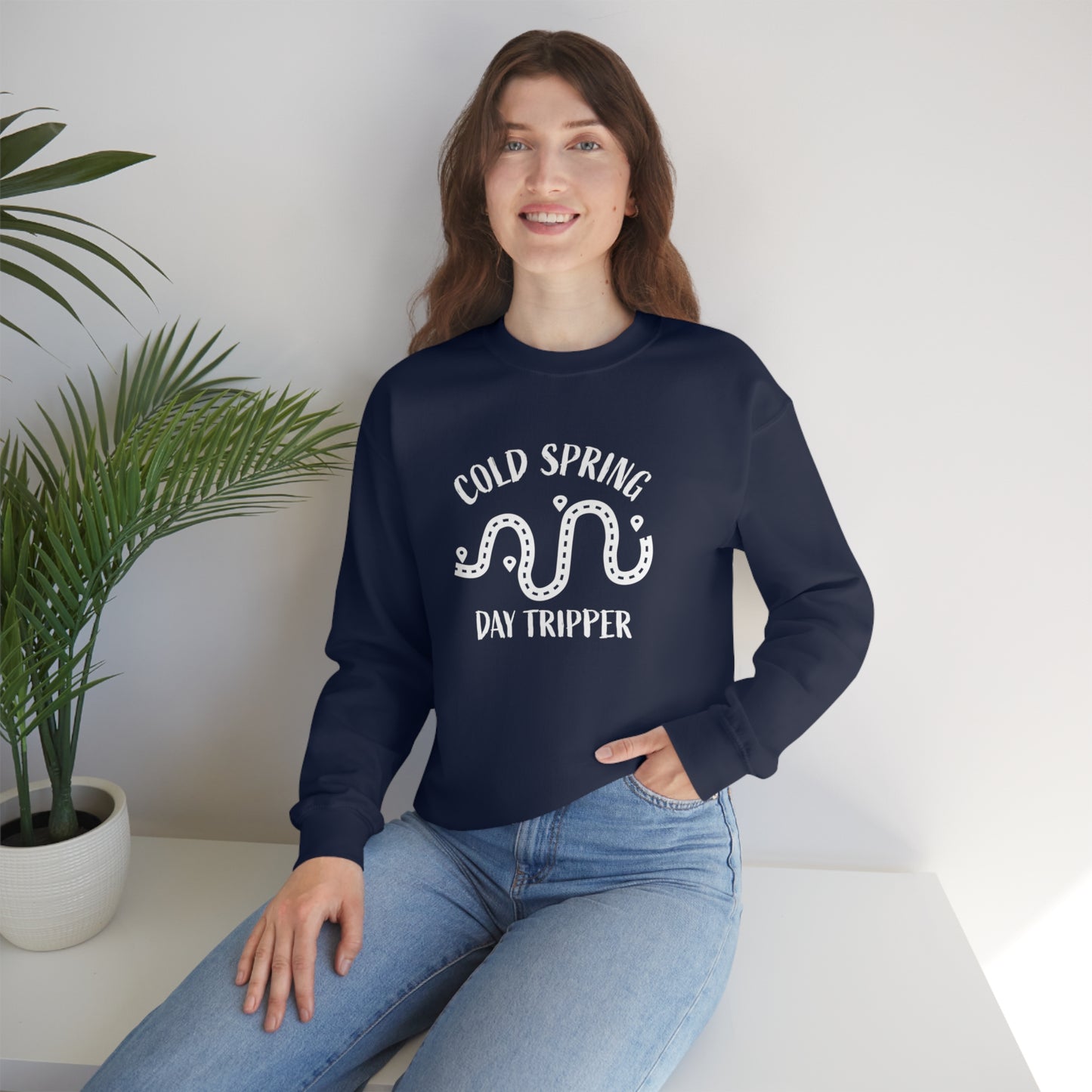 Cold Spring Day Tripper Navy Crewneck