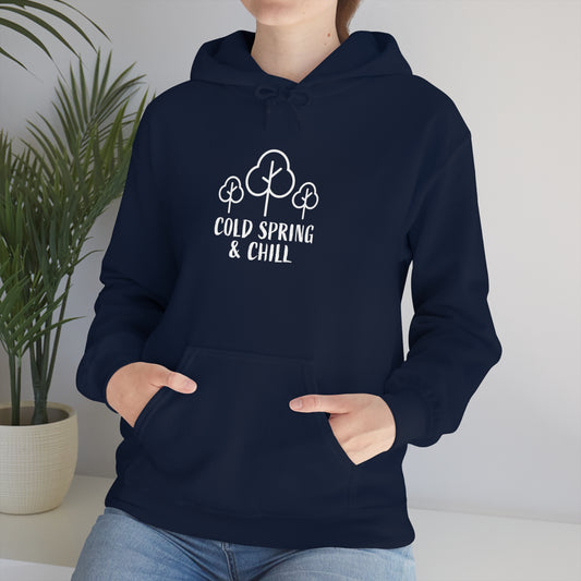 Cold Spring & Chill Navy Hoodie