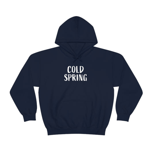 Cold Spring Navy Hoodie