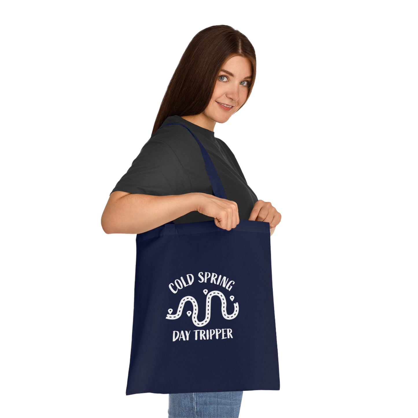 Cold Spring Day Tripper Navy Tote