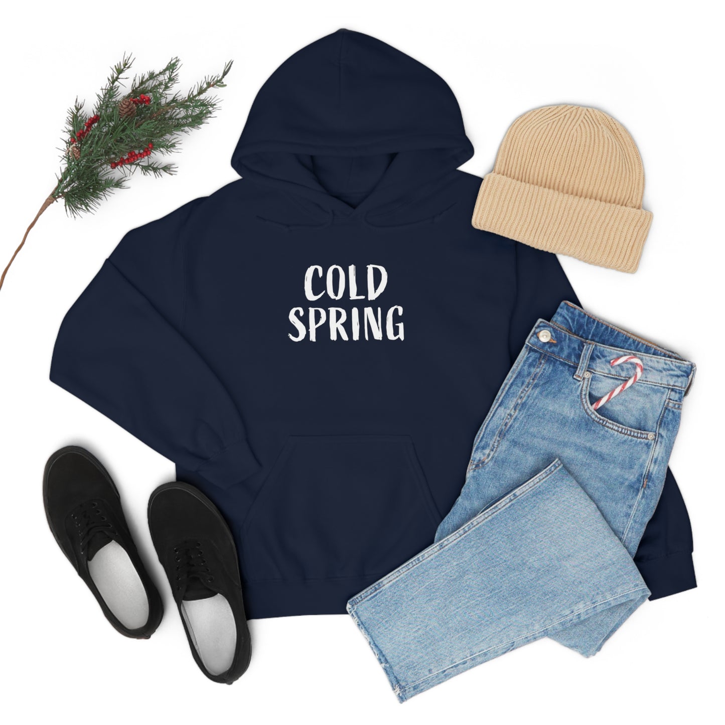 Cold Spring Navy Hoodie